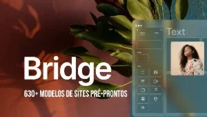 Tema Bridge WordPress GPL + Atualizações