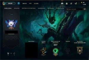 CONTA LOL LVL 354 COM VARIAS SKIN E TODOS CAMPEÕES