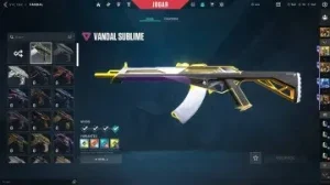 Conta Valorant Full Acesso Com Skins Raras De Faca