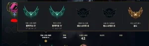 Platina Iv Solo Duo E Flex Com Wr Bizarro