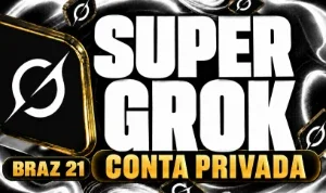 Super Grok | Privado | 10 Dias