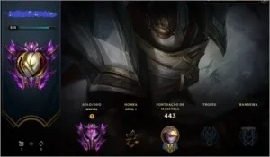 Conta Mestre Full Champs e +