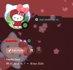 Conta Discord 2016 Hellokitty Nitro Trimensal, C/ Pomelo 