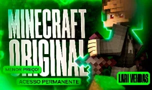 Minecraft full access only 50 dollars