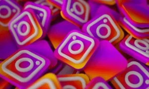 Seguidores Do Instagram