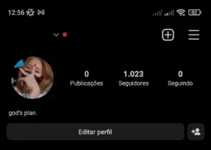 🔥Promoção!! Contas Com 1K+ De Seguidores🔥