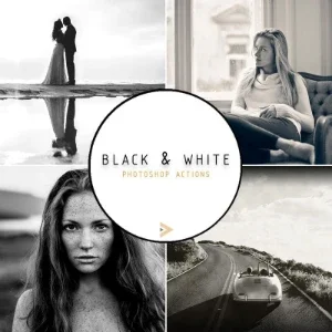3800 - Colossal Photography Bundle