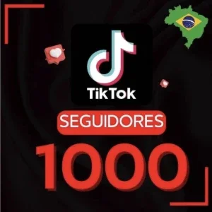 Seguidores tiktok