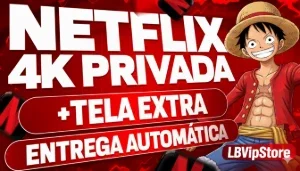 Netflix - tela privada