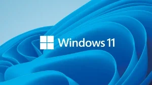 Microsoft Windows 11 Home Retail