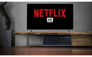 Netflix 4K Privado 30 dias com PIN