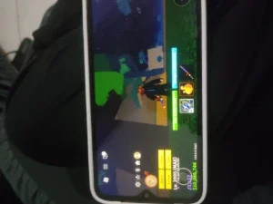 vem con a kitsune leopardo Yeti ispirit no inventário goud