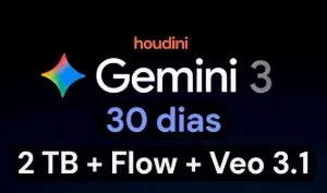 GEMINI 3 Pro + 2TB + Veo 3.1 + Flow - 30 Dias