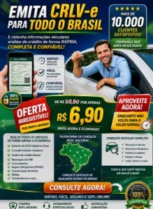 Receba até R$350 oferecendo serviço de despachante online!