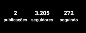 seguidores