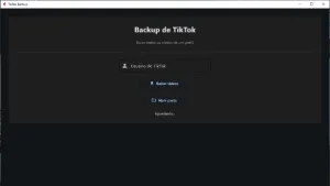 Download Em Massa De Vídeos Do Tiktok