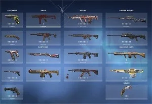 CONTA RAD HA 9 ATOS, PEAK 750 PDL, MUITA SKIN, NEGOCIAVEL