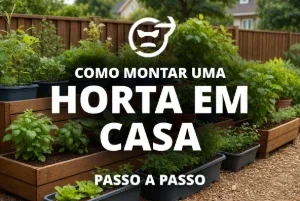 Guia para Criar uma Horta em Casa + Extras