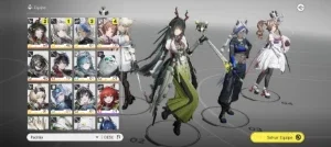 Endfield / Zhang fangyi + Arma + 37k de oroberyl + 40tickets