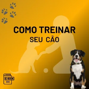 Como Treinar Seu Cão