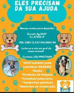Ração para animais abandonados