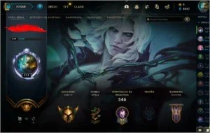 conta lol Skin e icones de 2013 (raros e full champ)