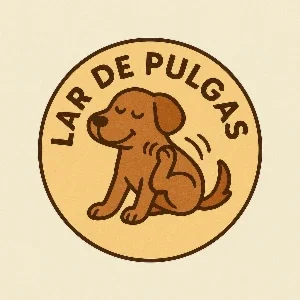 🐾 Vamos Dar um Lar para Cada Cachorro da Nossa Cidade 🐾