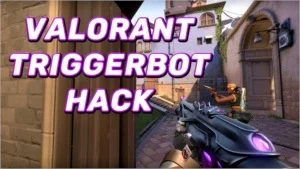 Valorant Triggerbot