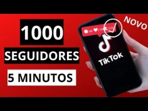 1K De Seguidores Do Tiktok (Envio Imediato)