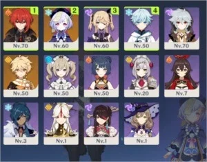 Genshin Impact AR 40, Diluc + Qiqi