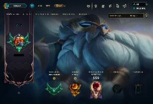Conta de LoL - conta de 12 anos - 300 skins, todos os champs