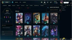 CONTA D4, LVL 217