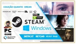 Detroit Become Human | Pc - Coleçao Quantic Drean