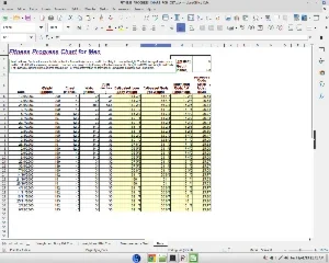Fitness Progress Tracking Spreadsheet