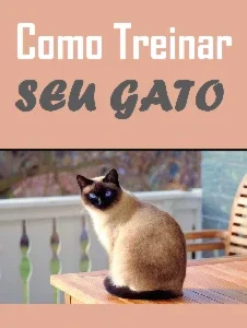 Tutorial: Como treinar seu gato.