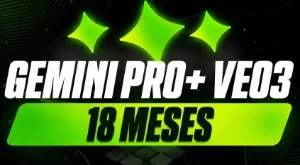 Gemini Pro 18 Meses - Privado NO SEU EMAIL Garantia 30 dias