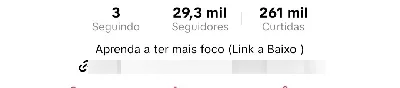 Tik tok 29 mil seguidores