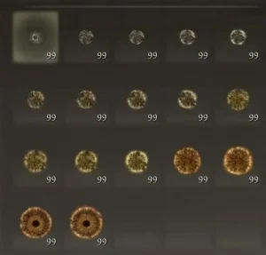 Elden Ring Runas para Level Máximo (Lvl 713)