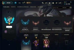 Bronze 1 com 80 Champs e 14 Skins