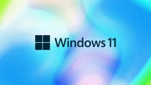 Windows 11 Pro