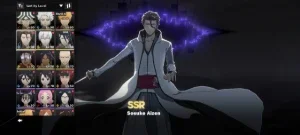 Bleach soul resonance conta top
