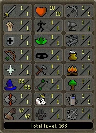 Pure  Mage