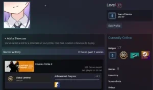 Conta Steam Lvl 17 C/ Jogos + Cs2 Prime + Medalha De 5 Anos