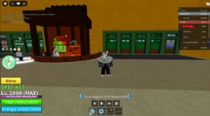 Conta de Blox Fruits (Lvl 2800, fruit storage max 3 etc)