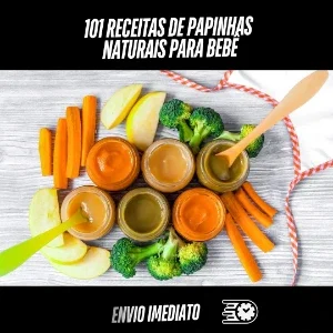 101 Receitas De Papinhas Naturais Para Bebê 
