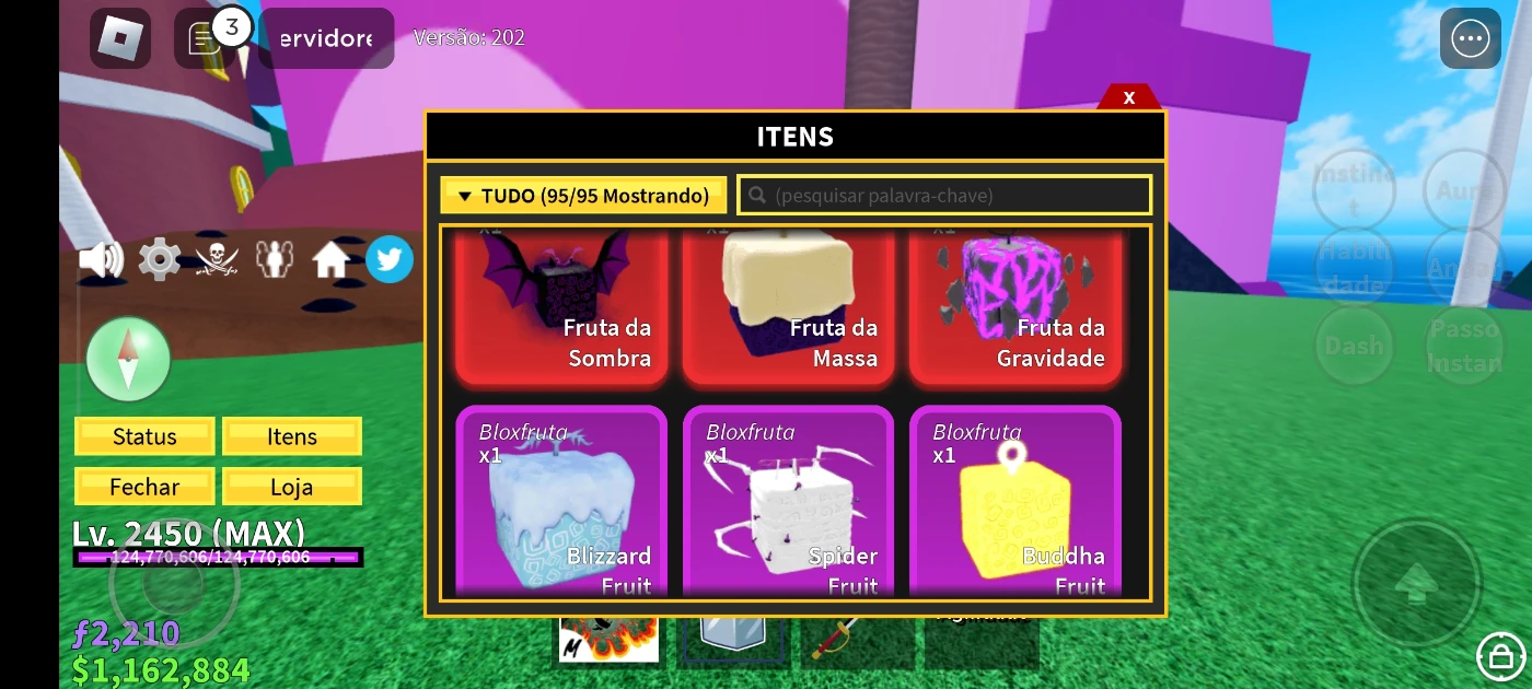 Conta De Roblox, Focada Em Blox Fruit. - Outros - DFG