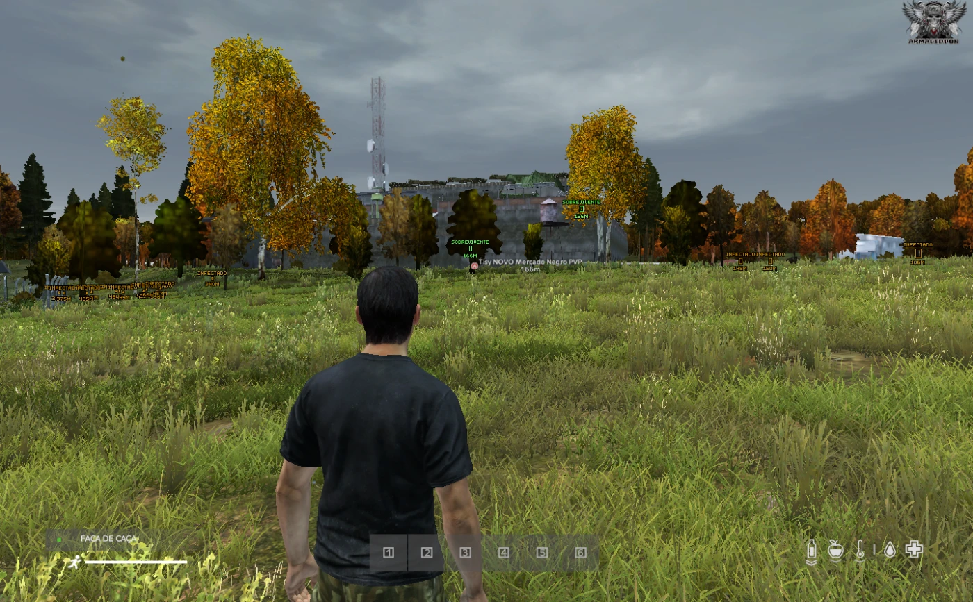 DAYZ EVOLUÇÃO  TOP 1 SERVIDORES BRASILEIROS DE DAYZ