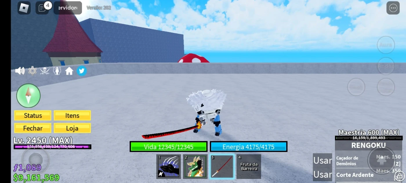 Conta De Blox Fruits, Abandonada Criada Em 2020 - Roblox - DFG