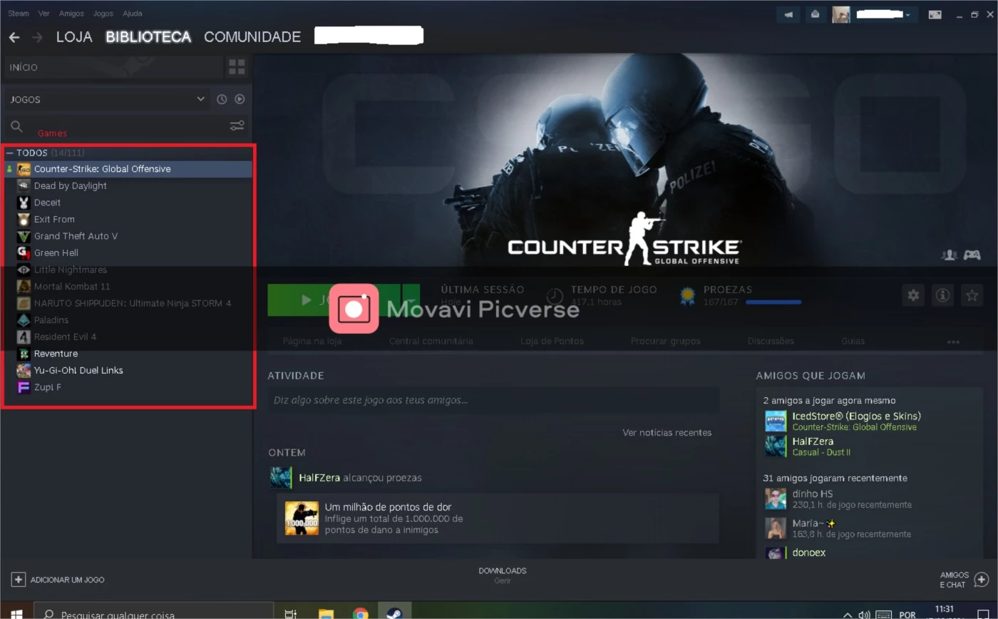 Counter Strike Global Offensive (Csgo) Steam - DFG