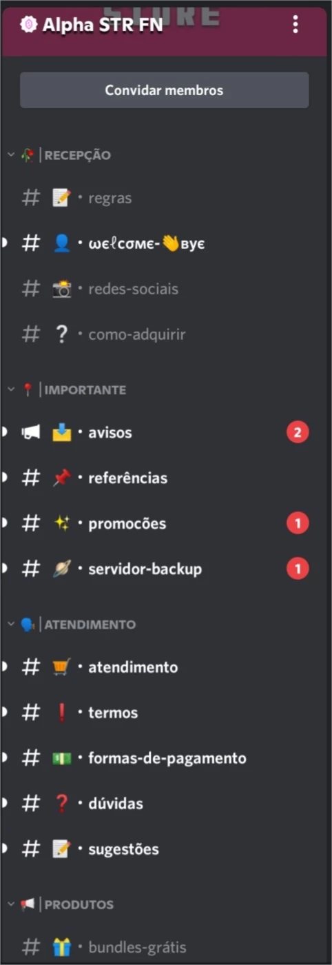 Eu vou Fazer um Servidor Profissional do discord.